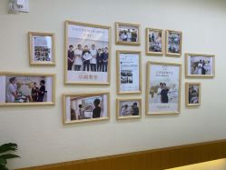 -颜和骨正·明哲式骨相美学整骨