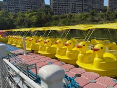 -千岛湖-欢乐水世界