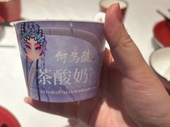 -大鸭梨烤鸭店(花园村店)