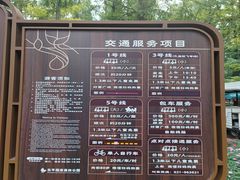 -东平国家森林公园