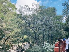 -崂山九水游览区