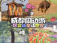 -秀丽东方