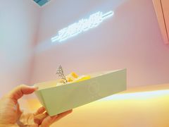 -狐狸和向日葵(北京路店)