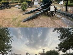 -菊园百果园