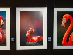 -罗红摄影艺术馆