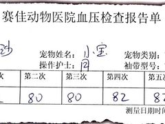 -北京赛佳动物医院