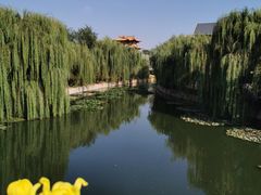 -台儿庄古城