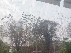 -甜阿姨·天台花园私房菜(万松园店)