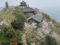 -杭州半山国家森林公园