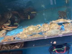 -聚鑫阁江浙菜·非遗传承技艺(青村帝华园店)