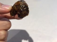 -解家河南菜(商鼎路店)