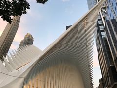 -世界贸易中心一号大楼