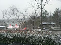 -汤山温泉房车营地 茶温泉