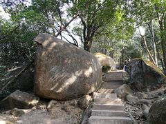 -火炉山森林公园