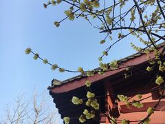 -杭州西湖风景名胜区-钱祠表忠