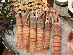-Mr·Fish鱼鲜生海鲜放题(银泰in99店)