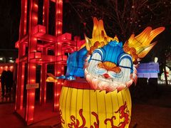 -北京石景山游乐园