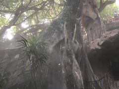 -青青世界