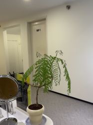 -JNK皮肤管理中心