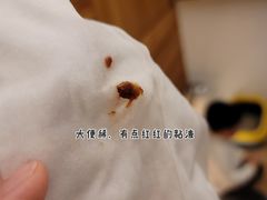 -贝利宠物医院·骨科·眼科·肿瘤转诊中心(南坪诊疗中心)