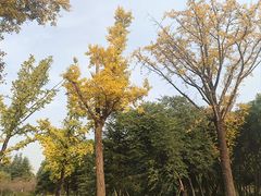-重庆中央公园(渝北区)