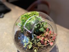 -北京三里屯CHAO酒店