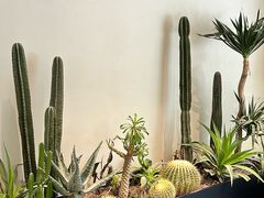 -J Create城市露营咖啡·简餐·宠物(上海动物园店)