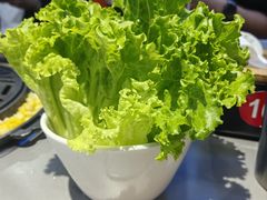-盛辛巴·东北炭火烤肉(托乐嘉店)