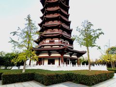 -洋湖国家湿地公园