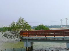 -宝安西湾红树林湿地公园