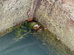 -苏州香山国际大酒店