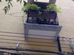 龙之梦万丽酒店-上海龙之梦万丽酒店