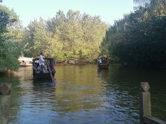 -溱湖国家湿地公园