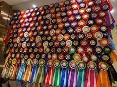 -more than meow吴止猫主题餐厅(承德 中船汇店)