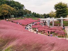 -牛岗山公园