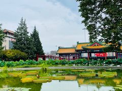 -莲花池公园