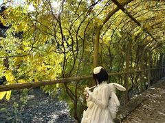 -红螺寺