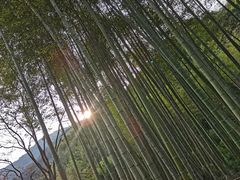 -黄公望隐居地