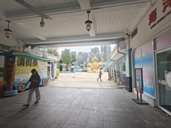 -海合安成都极地海洋公园