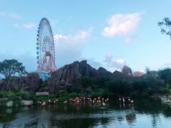 -芽庄珍珠岛游乐园