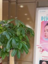 -重庆星宸整形美容医院