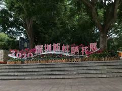-莲花山公园