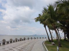 -深圳湾公园(南山区)