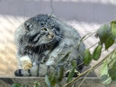 -青藏高原野生动物园