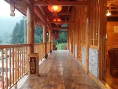 -武陵山森林公园