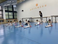 -西安小天鹅艺术团(曲江Alice店)