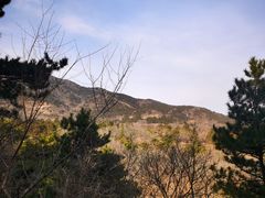 -北京西山国家森林公园