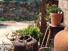 -石头会唱歌融来+北港岚台两岸交流中心