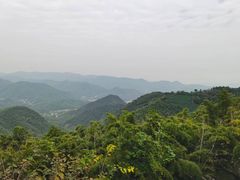 -莫干山风景区