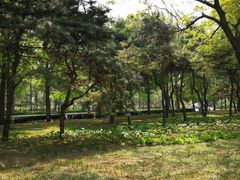 -玲珑塔公园